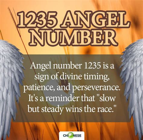 1235 angel number twin flame|1235 Angel Number: What Does It Mean and How to Interpret It